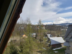 Отель Apartament Stary Mlyn, Закопане